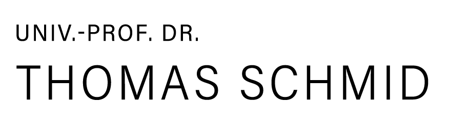 Logo Thomas Schmid